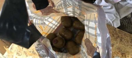Полиция сообщила, что в палаточном городке под ВР были обнаружены гранаты