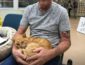 Невероятная история: кот нашел своего хозяина спустя 14 лет скитаний