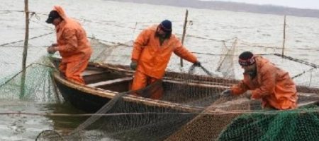 Украина ставит лучшие показатели по вылову рыбы