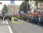 "Собака лает на исчадие ада!" На параде в оккупированном Донецке служивые отдавали честь не Захарченку а собаке (РАЗРЫВ СЕТИ ВИДЕО)