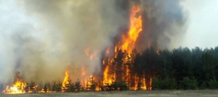 ВНИМАНИЕ! В Чернобыле возле самого опасного участка вспыхнул большой пожар