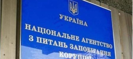 Глава НАПК Украины отчиталась о работе её агенства