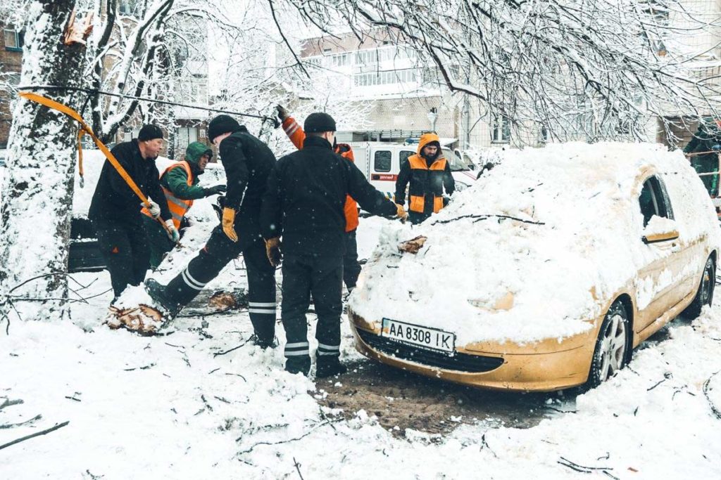 ЧП в Киеве, автомобиль придавило дерево (ФОТО)