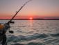 Опубликован перечень водойм Киевщины, на которых уже можно ловить рыбу