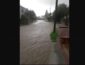 Улицы села на Закарпатье превратились в реку из-за проливного дождя (ВИДЕО)