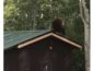 Медведь в США украл кормушку для птиц со двора (ВИДЕО)