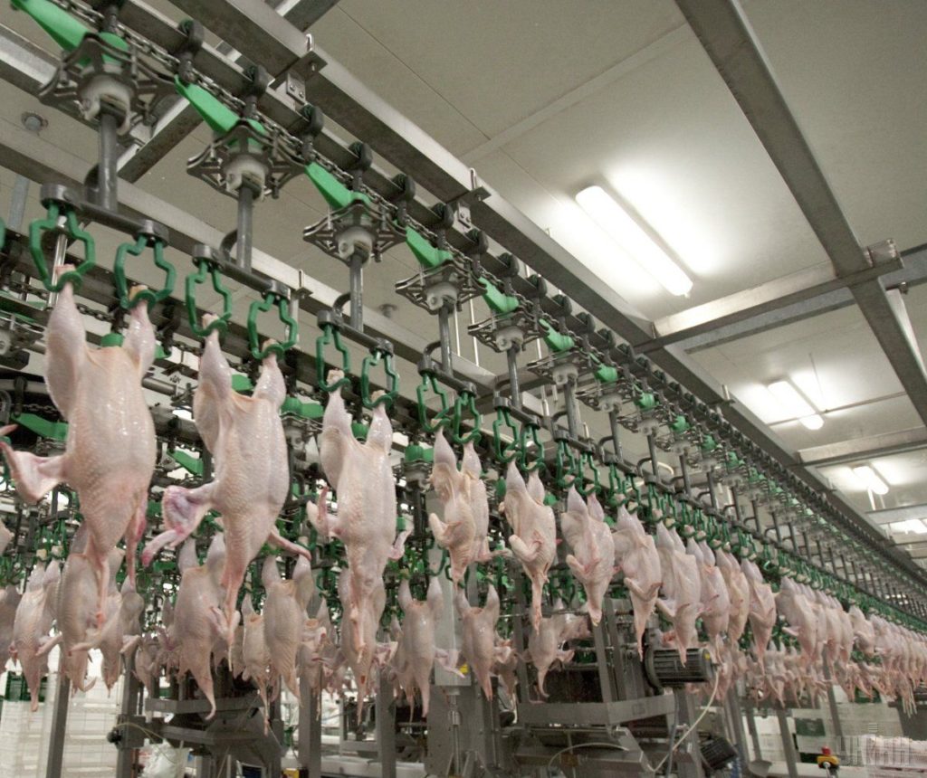Украина договорилась я Японией о продаже мяса птицы 