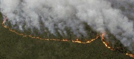 Мир в шоке: сибиряки на коленях просят помощи пока пожарные тушат озера! Вся помощь властей бубны для ритуальных заклинаний (ВИДЕО)