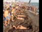 "Жену можно и новую найти, а вот выиграть бутылку!": пляжные развлечения россиян шокировали интернет (ВИДЕО)