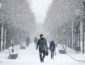 Много снега и морозы: синоптик уточнил прогноз погоды на зиму