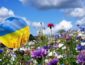 Гороскоп на 2020 год: Украине обещают "благоприятный сдвиг"