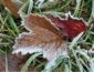 Морозы будут даже днем: синоптик удивил прогнозом на весну