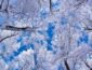 Минус 10 и снег: в Украину пришла зима. ФОТО