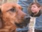Появилось ВИДЕО спасения собаки подростком на Львовщине