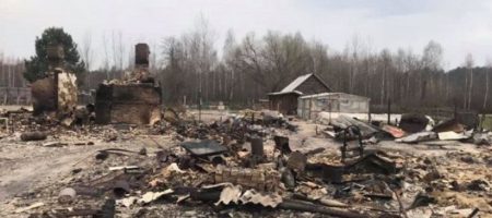 Выжженные села после пожара под Житомиром показали на ВИДЕО