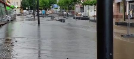 В Днепре гроза с градом валила вековые деревья (ВИДЕО)