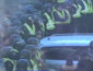 ОП взяли в осаду: полиция и Нацгварди поднята по тревоге — 40 тысяч человек требуют от Зеленского выполнить обещанное