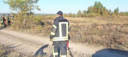 На Луганщине пожарным удалось потушить возгорание, возникшее из-за обстрела (ВИДЕО)