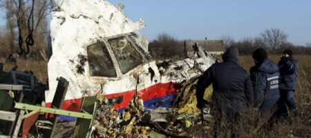 Это победа! Нидерланды подают в суд на РФ из-за катастрофы MH17