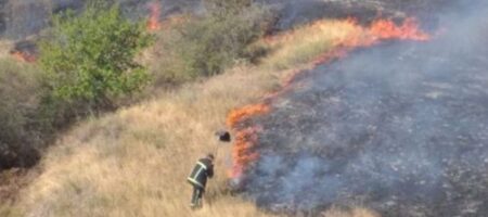 Пылает все вокруг: на Николаевщине произошел масштабный пожар