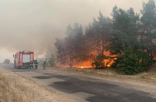 На Луганщине решили найти виновных в пожарах: возбуждено 10 уголовных производств
