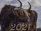 Год Быка: что сделать перед Новым годом, чтобы 2021-й был спокойным