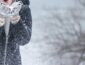 Минус 20 и снеговой шторм: погода в Украине в феврале