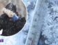 Февраль расслабиться не даст: Украину накроет еще одной волной снегопадов и морозов