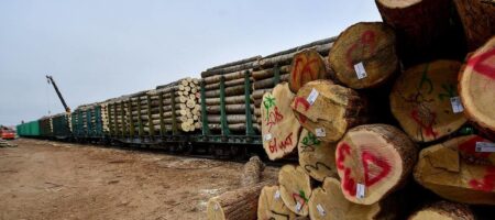 Китай начал торговую блокаду России: российские поезда с лесом и углем разворачивают на границе - СМИ