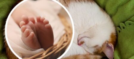 В Остроге кот задушил 4-месячного младенца: детали трагедии