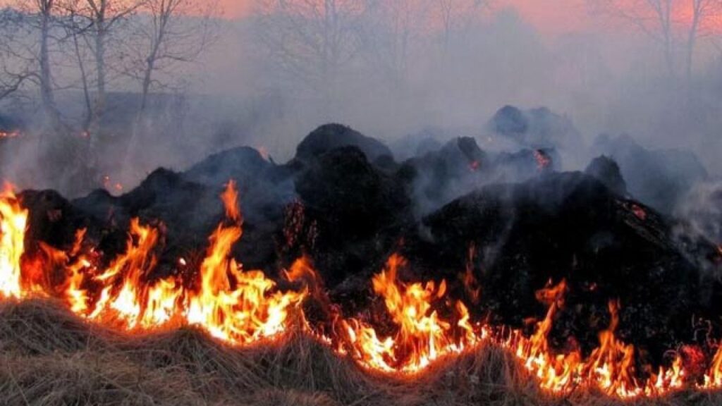 Под Донецком сгорела передовая позиция террористов "ДНР"
