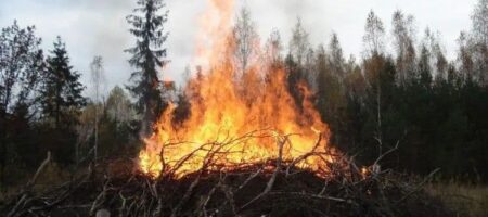 В Житомирской области трое пенсионеров жгли сухую траву и оказались в больнице с ожогами тел до 90%
