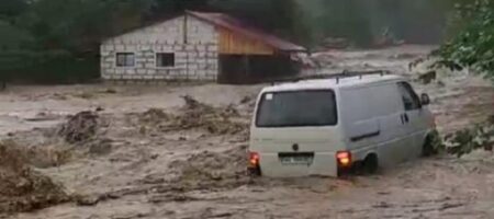 Паводок на Закарпатье разрушил дороги и подтопил дома — видео стихии