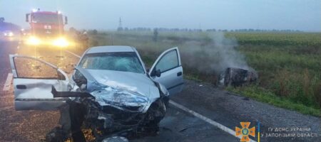 В ДТП в Запорожской области заживо сгорели пять человек, из них трое - дети (ВИДЕО 18+)