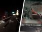 Суицид под Киевом: парень спрыгнул с моста на лобовое стекло фуры