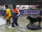 Малайзия страдает от сильнейших наводнений