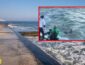 Рождественское чудо: в Одессе любители утренних пробежек спасли женщину, тонувшую в море (видео)
