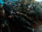 ​Спят на полу без сухпайков: срочники армии РФ "застряли" под Белгородом