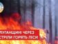 Через обстріл у Луганській області горять ліси