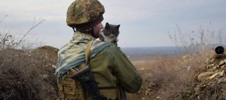 Арестович: Битва за Донбас визначить 3 фазу війни