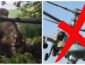 Ескадрилья "Алігаторів" під Ізюмом порідшала: відео бою ЗСУ проти Ка-52