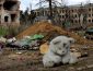 В Україні з початку війни загинула 361 дитина