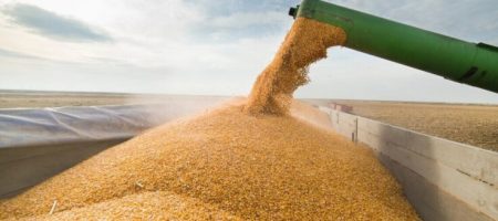 ЄС готує екстрені обмеження на імпорт зерна з України - FT