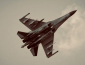 Російська ППО збила свій Су-35 - журналіст
