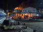 Ночью в Одесской области горел маслоперерабатывающий завод (КАДРЫ)