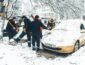 ЧП в Киеве, автомобиль придавило дерево (ФОТО)