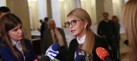 "Мы защитили бесценное сокровище Украины — землю" Тимошенко о важном решении Рады