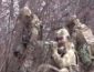 Украинские спецназовцы провели учения на Донбассе (ВИДЕО)