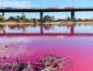 Чудо природы: в Мельбурне озеро окрасилось в розовый цвет (ВИДЕО)