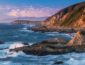 Возле побережья Калифорнии сварились тысячи мидий